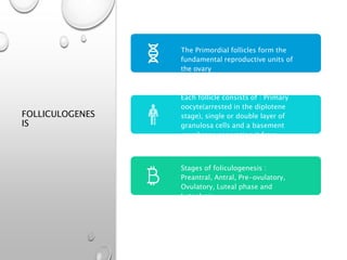 FOLLICULOGENES
IS
The Primordial follicles form the
fundamental reproductive units of
the ovary
Each follicle consists of : Primary
oocyte(arrested in the diplotene
stage), single or double layer of
granulosa cells and a basement
membrane separating it from
adjacent interstitial tissue
Stages of foliculogenesis :
Preantral, Antral, Pre-ovulatory,
Ovulatory, Luteal phase and
Luteolysis
 