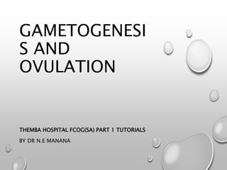 GAMETOGENESI
S AND
OVULATION
THEMBA HOSPITAL FCOG(SA) PART 1 TUTORIALS
BY DR N.E MANANA
 