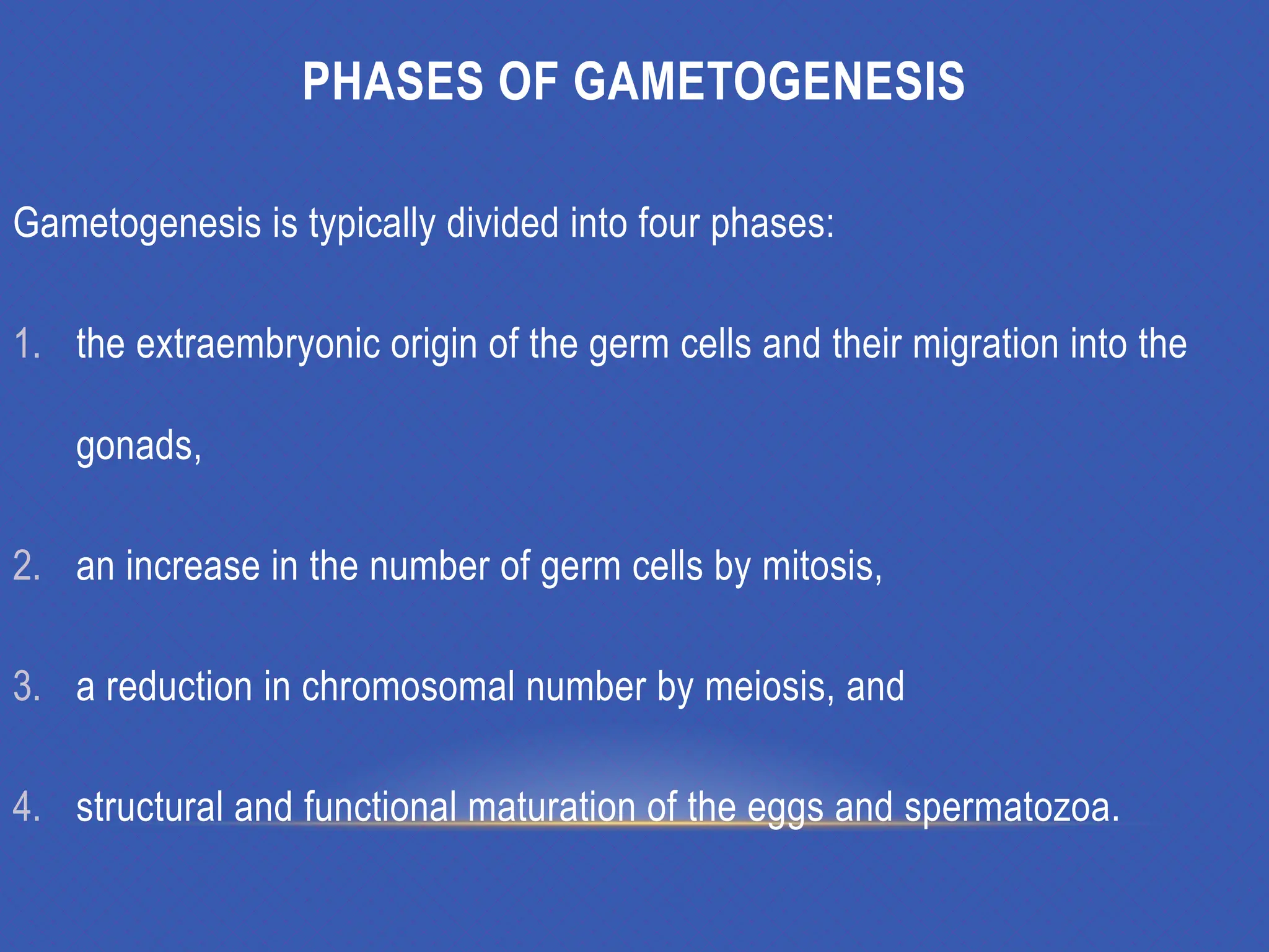 GAMETOGENESIS CONVERSION OF GERM CELLS INTO MALE AND FEMALE GAMATES-1.pptx