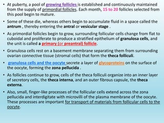 Gametogenesis conversion of germ cells into male and female gametes.ppt