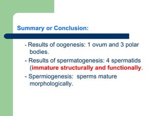 Gametogenesis conversion of germ cells into male and female gametes.ppt