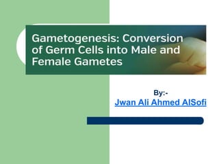 Title of Lecture: Gametogenesis
By:-
Jwan Ali Ahmed AlSofi
 