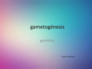 genética
Dagnis Hernández
gametogénesis
 