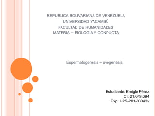 REPUBLICA BOLIVARIANA DE VENEZUELA
UNIVERSIDAD YACAMBÚ
FACULTAD DE HUMANIDADES
MATERIA – BIOLOGÍA Y CONDUCTA
Espermatogenesis – ovogenesis
Estudiante: Emigle Pérez
CI: 21.649.094
Exp: HPS-201-00043v
 