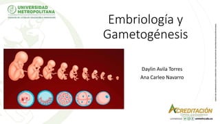 Embriología y
Gametogénesis
Daylin Avila Torres
Ana Carleo Navarro
1
 