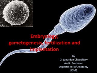 Embryology;
gametogenesis, fertilization and
implantation
By
Dr Janardan Chaudhary
Asstt. Professor
Department of Anatomy
UCMS
 