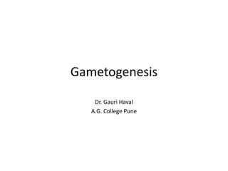 Gametogenesis
Dr. Gauri Haval
A.G. College Pune
 