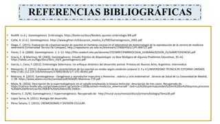 REFERENCIAS BIBLIOGRÁFICAS
• BioBIR. (n.d.). Gametogénesis. Embriología. https://biobir.es/docs/Modelo apuntes embriologia BIR.pdf
• Caille, A. (n.d.). Gametogénesis. https://www.gfmer.ch/Educacion_medica_Es/Pdf/Gametogenesis_2005.pdf
• Diego, C. (2015). Evaluación de criopreservación de ovocitos en hembras caninas en el laboratorio de biotecnología de la reproducción de la carrera de medicina
veterinaria [Universidad Técnica De Cotopaxi]. http://repositorio.utc.edu.ec/bitstream/27000/4501/1/PI-000727.pdf
• Flores, F. A. (2000). Gametogénesis. 1, 1–12. http://files.uladech.edu.pe/docente/25558907/EMBRIOLOGIA_HUMANA/SESION_01/GAMETOGENESIS.pdf
• Gracía, F., & Martínez, M. (2003). Gametogénesis. Estudio Práctico de Biopatología. La Base Biológica de Algunos Problemas Educativos, 35–42.
https://webs.um.es/fags/docs/libro_03/4_gametogenesis.pdf
• García, J., Cano, F. (2012). Embriología Veterinaria. Un enfoque dinámico del desarrollo animal. Primera ed. Buenos Aires, Argentina: Intermedica.
• Manjarrés, O. (2015). Evaluación de las características de los ovocitos en cerdas según condición corporal 2, 3 y 4 [UNIVERSIDAD TÉCNICA DE COTOPAXI UNIDAD].
http://181.112.224.103/bitstream/27000/2818/1/T-UTC-00342.pdf
• Matrona, A. (2015). Gametogénesis : Ovogénesis y reproductor masculino y femenino . ovárico y ciclo endometrial . Servicio de Salud de La Comunidad de Madrid,
1–38. https://www.adams.es/site/sanidad/pdf/ADAMS-Matronas-T19.pdf
• Mejía, N. (2016). Descripción de la espermatogénesis en el caballo empleando la biopsia testicular: descripción de tres casos. Recuperado de:
https://ciencia.lasalle.edu.co/cgi/viewcontent.cgi?article=1185&context=medicina_veterinaria#:~:text=Los%20espermatozoides%20en%20los%20equinos,procesos
%20de%20diferenciaci%C3%B3n%20y%20divisi%C3%B3n
• Navarro, C. (S/N). Gametogénesis I: Espermatogénesis. Recuperado de: http://mural.uv.es/monavi/disco/primero/biologia/Tema28.pdf
• López Serna, N. (2011). Biología del desarrollo.
• Pérez Tatiana, C. (2015). CROMOSOMAS Y DIVISIÓN CELULAR.
•
 