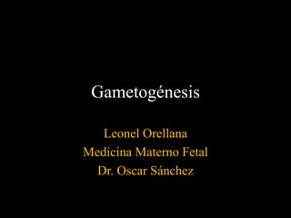 Gametogénesis
Leonel Orellana
Medicina Materno Fetal
Dr. Oscar Sánchez
 