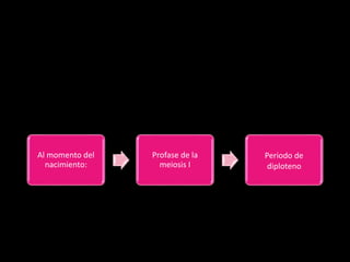 Al momento del
nacimiento:
Profase de la
meiosis I
Periodo de
diploteno
 