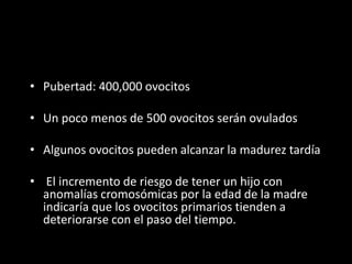 • Pubertad: 400,000 ovocitos
• Un poco menos de 500 ovocitos serán ovulados
• Algunos ovocitos pueden alcanzar la madurez tardía
• El incremento de riesgo de tener un hijo con
anomalías cromosómicas por la edad de la madre
indicaría que los ovocitos primarios tienden a
deteriorarse con el paso del tiempo.
 