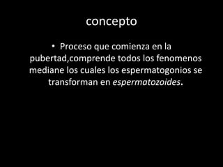 • Proceso que comienza en la
pubertad,comprende todos los fenomenos
mediane los cuales los espermatogonios se
transforman en espermatozoides.
concepto
 