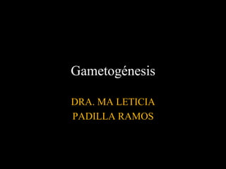 Gametogénesis
DRA. MA LETICIA
PADILLA RAMOS
 