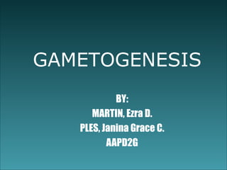 Gametogenesis ppt | PPT
