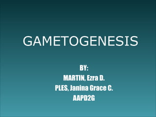 GAMETOGENESIS
            BY:
      MARTIN, Ezra D.
   PLES, Janina Grace C.
          AAPD2G
 