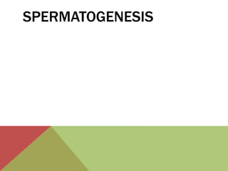 Gametogenesis project | PPTX