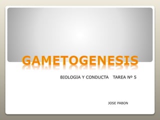 JOSE PABON
BIOLOGIA Y CONDUCTA TAREA Nº 5
 