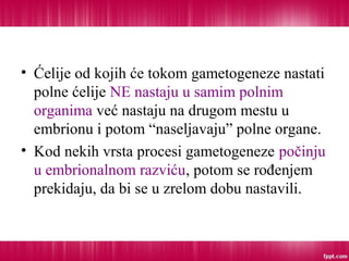 • Ćelije od kojih će tokom gametogeneze nastati
polne ćelije NE nastaju u samim polnim
organima već nastaju na drugom mestu u
embrionu i potom “naseljavaju” polne organe.
• Kod nekih vrsta procesi gametogeneze počinju
u embrionalnom razviću, potom se rođenjem
prekidaju, da bi se u zrelom dobu nastavili.
 