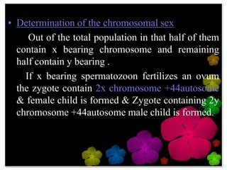 Gametogenisis, Fertilization | PPTX
