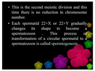 22+ Do Plants Have Chromosomes