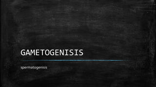 GAMETOGENISIS
spermatogenisis
 