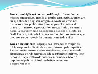 Fase de multiplicação ou de proliferação: É uma fase de
mitoses consecutivas, quando as células germinativas aumentam
em quantidade e originam ovogônias. Nos fetos femininos
humanos, a fase proliferativa termina por volta do final do
primeiro trimestre da gestação. Portanto, quando uma menina
nasce, já possui em seus ovários cerca de 400 000 folículos de
Graff. É uma quantidade limitada, ao contrário dos homens, que
produzem espermatogônias durante quase toda a vida.
Fase de crescimento: Logo que são formadas, as ovogônias
iniciam a primeira divisão da meiose, interrompida na prófase I.
Passam, então, por um notável crescimento, com aumento do
citoplasma e grande acumulação de substâncias nutritivas. Esse
depósito citoplasmático de nutrientes chama-se vitelo, e é
responsável pela nutrição do embrião durante seu
desenvolvimento.

 