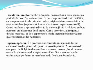 Fase de maturação: Também é rápida, nos machos, e corresponde ao
período de ocorrência da meiose. Depois da primeira divisão meiótica,
cada espermatócito de primeira ordem origina dois espermatócitos de
segunda ordem (espermatócitos secundários ou espermatócitos II).
Como resultam da primeira divisão da meiose, já são haploides, embora
possuam cromossomos duplicados. Com a ocorrência da segunda
divisão meiótica, os dois espermatócitos de segunda ordem originam
quatro espermátides haploides.
Espermiogênese: É o processo que converte as espermátides em
espermatozoides, perdendo quase todo o citoplasma. As vesículas do
complexo de Golgi fundem-se, formando o acrossomo, localizado na
extremidade anterior dos espermatozoides. O acrossomo contém
enzimas que perfuram as membranas do óvulo, na fecundação.

 