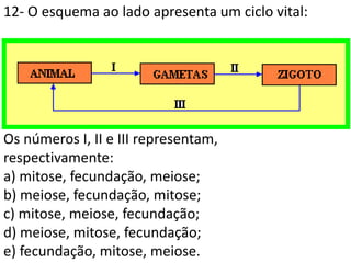 12- O esquema ao lado apresenta um ciclo vital:
Os números I, II e III representam,
respectivamente:
a) mitose, fecundação, meiose;
b) meiose, fecundação, mitose;
c) mitose, meiose, fecundação;
d) meiose, mitose, fecundação;
e) fecundação, mitose, meiose.
 