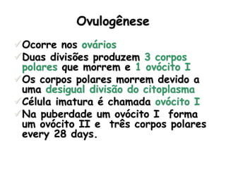 Ovulogênese
Ocorre nos ovários
Duas divisões produzem 3 corpos
polares que morrem e 1 ovócito I
Os corpos polares morrem devido a
uma desigual divisão do citoplasma
Célula imatura é chamada ovócito I
Na puberdade um ovócito I forma
um ovócito II e três corpos polares
every 28 days.
 