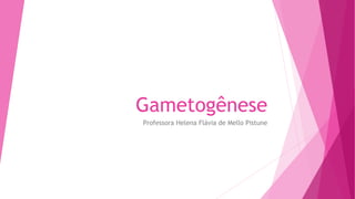 Gametogênese
Professora Helena Flávia de Mello Pistune
 