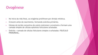 Ovogênese
► No início da vida fetal, as ovogônias proliferam por divisão mitótica.
► Crescem antes do nascimento, formando ovócitos primários.
► Células do tecido conjuntivo do ovário (estroma) o envolvem e formam uma
camada simples de células epiteliais foliculares achatadas.
► Ovócito + camada de células foliculares simples e achatadas: FOLÍCULO
PRIMORDIAL.
 