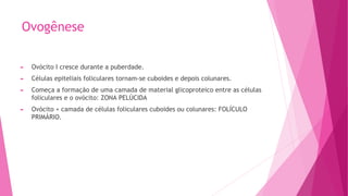Ovogênese
► Ovócito I cresce durante a puberdade.
► Células epiteliais foliculares tornam-se cuboides e depois colunares.
► Começa a formação de uma camada de material glicoproteico entre as células
foliculares e o ovócito: ZONA PELÚCIDA
► Ovócito + camada de células foliculares cuboides ou colunares: FOLÍCULO
PRIMÁRIO.
 