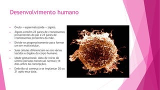 Desenvolvimento humano
► Óvulo + espermatozoide = zigoto.
► Zigoto contém 23 pares de cromossomos
provenientes do pai e 23 pares de
cromossomos presentes da mãe.
► Divide-se progressivamente para formar
um ser multicelular.
► Suas células diferenciam-se nos vários
tecidos e órgãos do corpo humano.
► Idade gestacional: data de início do
último período menstrual normal (14
dias antes da concepção).
► Embrião só começa a se implantar 20 ou
21 após essa data.
 