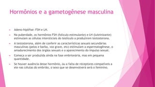 Hormônios e a gametogênese masculina
► Adeno-hipófise: FSH e LH.
► Na puberdade, os hormônios FSH (folículo estimulante) e LH (luteinizante)
estimulam as células intersticiais do testículo a produzirem testosterona.
► A testosterona, além de conferir as características sexuais secundárias
masculinas (pelos e barba, voz grave, etc) estimulam a espermatogênese, o
amadurecimento dos órgãos sexuais e o aparecimento do impulso sexual.
► Começa a ser produzida ainda na fase embrionária, mas em pequena
quantidade.
► Se houver ausência desse hormônio, ou a falta de receptores compatíveis a
ele nas células do embrião, o sexo que se desenvolverá será o feminino.
 