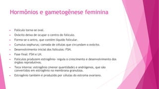 Hormônios e gametogênese feminina
► Folículo torna-se oval.
► Ovócito deixa de ocupar o centro do folículo.
► Forma-se o antro, que contém líquido folicular.
► Cumulus oophurus; camada de células que circundam o ovócito.
► Desenvolvimento inicial dos folículos: FSH.
► Fase final: FSH e LH.
► Folículos produzem estrogênio- regula o crescimento e desenvolvimento dos
órgãos reprodutivos.
► Teca interna: estrogênio (menor quantidade) e andrógenos, que são
convertidos em estrogênio na membrana granulosa.
► Estrogênio também é produzido por células do estroma ovariano.
 