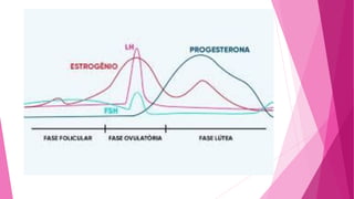 Gametogênese, fecundação e nidação.pptx.pdf