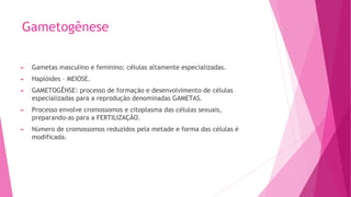 Gametogênese
► Gametas masculino e feminino: células altamente especializadas.
► Haplóides – MEIOSE.
► GAMETOGÊNSE: processo de formação e desenvolvimento de células
especializadas para a reprodução denominadas GAMETAS.
► Processo envolve cromossomos e citoplasma das células sexuais,
preparando-as para a FERTILIZAÇÃO.
► Número de cromossomos reduzidos pela metade e forma das células é
modificada.
 