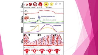 Gametogênese, fecundação e nidação.pptx.pdf