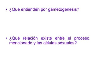 ¿Qué entienden por gametogénesis? ¿Qué relación existe entre el proceso mencionado y las células sexuales? 