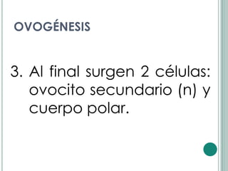 OVOGÉNESIS


3. Al final surgen 2 células:
   ovocito secundario (n) y
   cuerpo polar.
 
