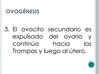 OVOGÉNESIS


3. El ovocito secundario es
   expulsado del ovario y
   continúa     hacia      las
   Trompas y luego al útero.
 
