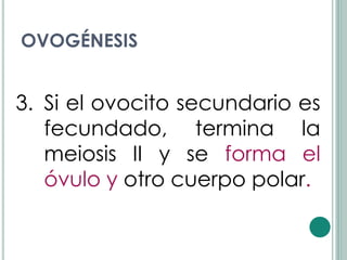OVOGÉNESIS


3. Si el ovocito secundario es
   fecundado, termina la
   meiosis II y se forma el
   óvulo y otro cuerpo polar.
 