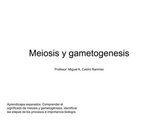 Meiosis y gametogenesis
Profesor: Miguel A. Castro Ramírez
Aprendizajes esperados: Comprender el
significado de meiosis y gametogénesis, identificar
las etapas de los procesos e importancia biología.
 