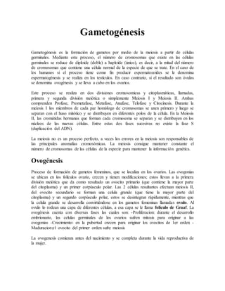 Gametogénesis
Gametogénesis es la formación de gametos por medio de la meiosis a partir de células
germinales. Mediante este proceso, el número de cromosomas que existe en las células
germinales se reduce de diploide (doble) a haploide (único), es decir, a la mitad del número
de cromosomas que contiene una célula normal de la especie de que se trate. En el caso de
los humanos si el proceso tiene como fin producir espermatozoides se le denomina
espermatogénesis y se realiza en los testículos. En caso contrario, si el resultado son óvulos
se denomina ovogénesis y se lleva a cabo en los ovarios.
Este proceso se realiza en dos divisiones cromosomicas y citoplasmáticas, llamadas,
primera y segunda división meiótica o simplemente Meiosis I y Meiosis II. Ambas
comprenden Profase, Prometafase, Metafase, Anafase, Telofase y Citocinesis. Durante la
meiosis I los miembros de cada par homólogo de cromosomas se unen primero y luego se
separan con el huso mitótico y se distribuyen en diferentes polos de la célula. En la Meiosis
II, las cromátidas hermanas que forman cada cromosoma se separan y se distribuyen en los
núcleos de las nuevas células. Entre estas dos fases sucesivas no existe la fase S
(duplicación del ADN).
La meiosis no es un proceso perfecto, a veces los errores en la meiosis son responsables de
las principales anomalías cromosómicas. La meiosis consigue mantener constante el
número de cromosomas de las células de la especie para mantener la información genética.
Ovogénesis
Proceso de formación de gametos femeninos, que se localiza en los ovarios. Las ovogonias
se ubican en los folículos ovario, crecen y tienen modificaciones; estos llevan a la primera
división meiótica que da como resultado un ovocito primario (que contiene la mayor parte
del citoplasma) y un primer corpúsculo polar. Las 2 células resultantes efectuan meiosis II,
del ovocito secundario se forman una celula grande (que tiene la mayor parte del
citoplasma) y un segundo corpúsculo polar, estos se desintegran rápidamente, mientras que
la celula grande se desarrolla convirtiéndose en los gametos femeninas llamadas ovulo. Al
ovulo lo rodean una capa de diferentes células, a esa capa se le llama foliculo de Graaf. La
ovogénesis cuenta con diversas fases las cuales son: -Proliferacion: durante el desarrollo
embrionario, las celulas germinales de los ovarios sufren mitosis para originar a las
ovogonias -Crecimiento: en la pubertad crecen para originar los ovocitos de 1er orden -
Maduracion:el ovocito del primer orden sufre meiosis
La ovogenesis comienza antes del nacimiento y se completa durante la vida reproductiva de
la mujer.
 