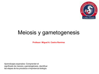 Meiosis y gametogenesis
Profesor: Miguel A. Castro Ramírez
Aprendizajes esperados: Comprender el
significado de meiosis y gametogénesis, identificar
las etapas de los procesos e importancia biología.
 