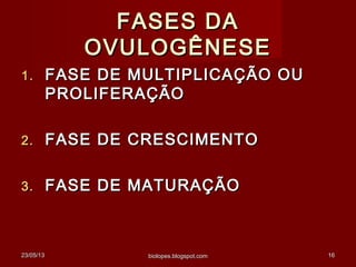 23/05/1323/05/13 biolopes.blogspot.combiolopes.blogspot.com 1616
FASES DAFASES DA
OVULOGÊNESEOVULOGÊNESE
1.1. FASE DE MULTIPLICAÇÃO OUFASE DE MULTIPLICAÇÃO OU
PROLIFERAÇÃOPROLIFERAÇÃO
2.2. FASE DE CRESCIMENTOFASE DE CRESCIMENTO
3.3. FASE DE MATURAÇÃOFASE DE MATURAÇÃO
 