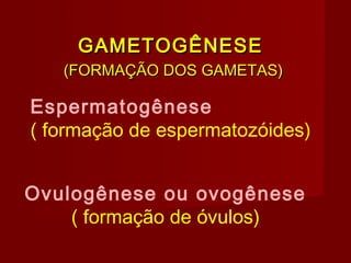 GAMETOGÊNESEGAMETOGÊNESE
(FORMAÇÃO DOS GAMETAS)(FORMAÇÃO DOS GAMETAS)
Espermatogênese
( formação de espermatozóides)
Ovulogênese ou ovogênese
( formação de óvulos)
 