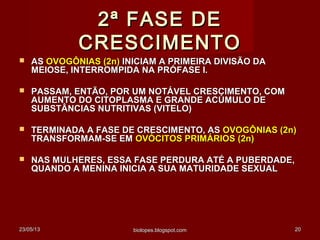 23/05/1323/05/13 biolopes.blogspot.combiolopes.blogspot.com 2020
2ª FASE DE2ª FASE DE
CRESCIMENTOCRESCIMENTO
 ASAS OVOGÔNIAS (2n)OVOGÔNIAS (2n) INICIAM A PRIMEIRA DIVISÃO DAINICIAM A PRIMEIRA DIVISÃO DA
MEIOSE, INTERROMPIDA NA PRÓFASE I.MEIOSE, INTERROMPIDA NA PRÓFASE I.
 PASSAM, ENTÃO, POR UM NOTÁVEL CRESCIMENTO, COMPASSAM, ENTÃO, POR UM NOTÁVEL CRESCIMENTO, COM
AUMENTO DO CITOPLASMA E GRANDE ACÚMULO DEAUMENTO DO CITOPLASMA E GRANDE ACÚMULO DE
SUBSTÂNCIAS NUTRITIVAS (VITELO)SUBSTÂNCIAS NUTRITIVAS (VITELO)
 TERMINADA A FASE DE CRESCIMENTO, ASTERMINADA A FASE DE CRESCIMENTO, AS OVOGÔNIAS (2n)OVOGÔNIAS (2n)
TRANSFORMAM-SE EMTRANSFORMAM-SE EM OVÓCITOS PRIMÁRIOSOVÓCITOS PRIMÁRIOS (2n)(2n)
 NAS MULHERES, ESSA FASE PERDURA ATÉ A PUBERDADE,NAS MULHERES, ESSA FASE PERDURA ATÉ A PUBERDADE,
QUANDO A MENINA INICIA A SUA MATURIDADE SEXUALQUANDO A MENINA INICIA A SUA MATURIDADE SEXUAL
 