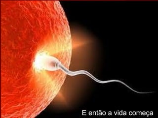 23/05/1323/05/13 biolopes.blogspot.combiolopes.blogspot.com 2727
E então a vida começa
 