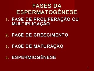 33
FASES DAFASES DA
ESPERMATOGÊNESEESPERMATOGÊNESE
1.1. FASE DE PROLIFERAÇÃO OUFASE DE PROLIFERAÇÃO OU
MULTIPLICAÇÃOMULTIPLICAÇÃO
2.2. FASE DE CRESCIMENTOFASE DE CRESCIMENTO
3.3. FASE DE MATURAÇÃOFASE DE MATURAÇÃO
4.4. ESPERMIOGÊNESEESPERMIOGÊNESE
 